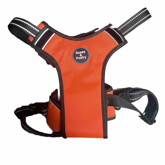 Roses And Poetry Dog Harness Outdoor Orange Size XL No Pull - Picture 1 of 7